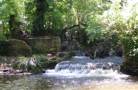 Photo du Le moulin de Jacquin ou moulin Vieux