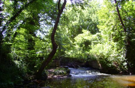 Photo du Le moulin de Jacquin ou moulin Vieux
