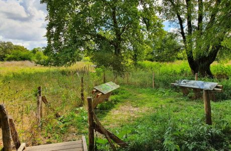 Photo de la Balades à Villenave d'Ornon depuis Courréjean et la  Caminasse